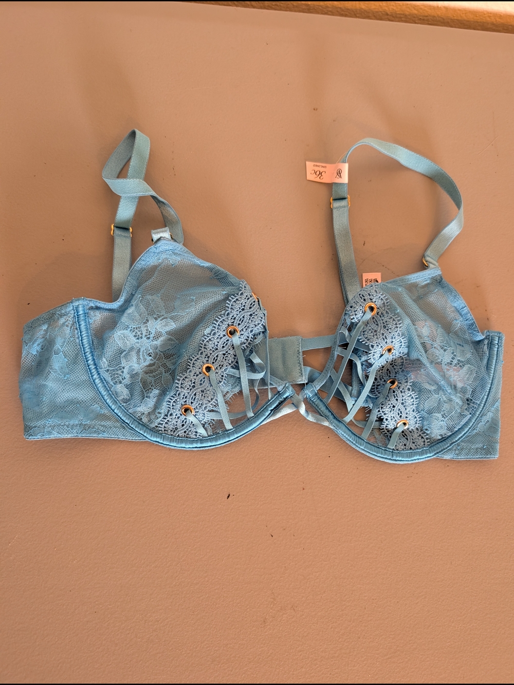 Victoria's Secret Online Rose Lace And Grommet Low Cut Demi Bra Blue